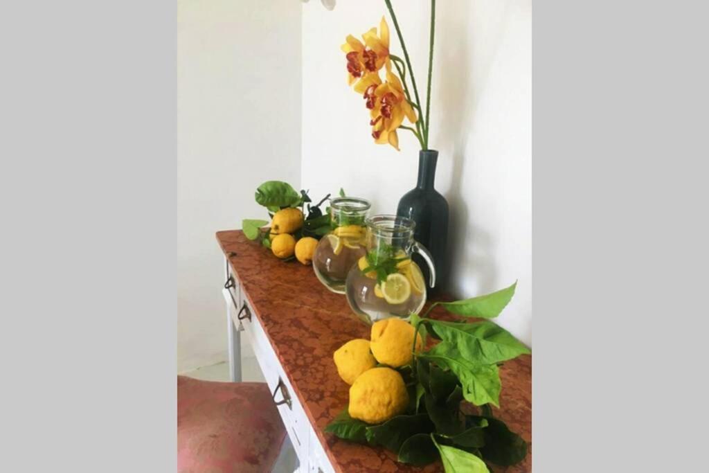 Apartamento Terrazzo Esclusivo Con Zona Solarium Da 200 Mq Valderice Exterior foto